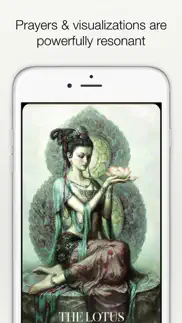 kuan yin oracle - fairchild iphone screenshot 4