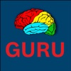 GURU - Электроинструменты icon