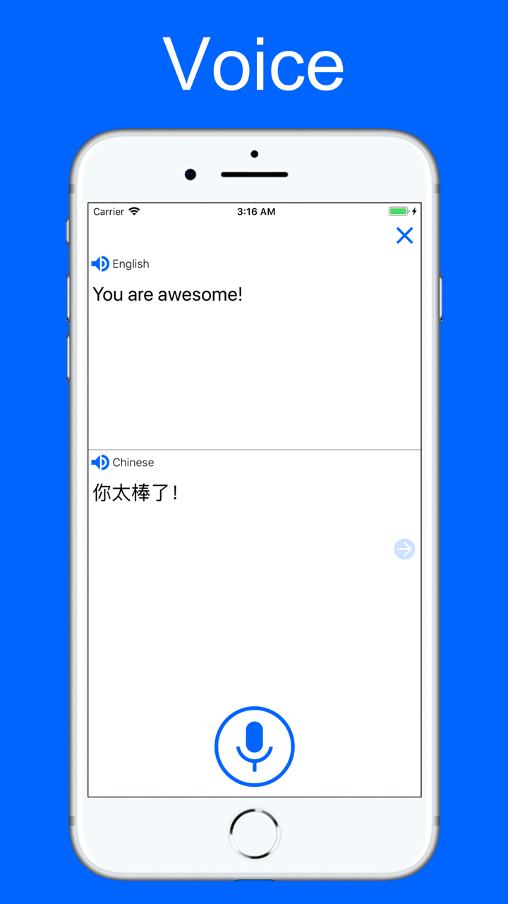 Translate Voice & Dictionary screenshot 3