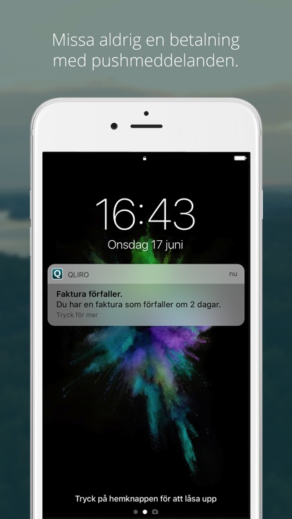 Qliro – låna, spara, betala screenshot-3