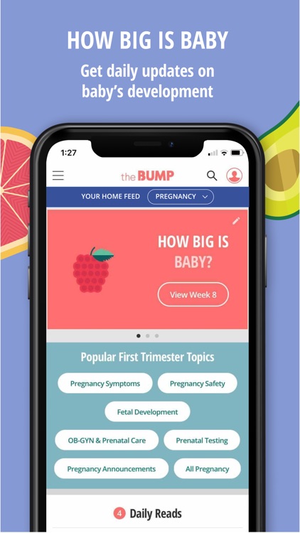 The Bump - Pregnancy Tracker