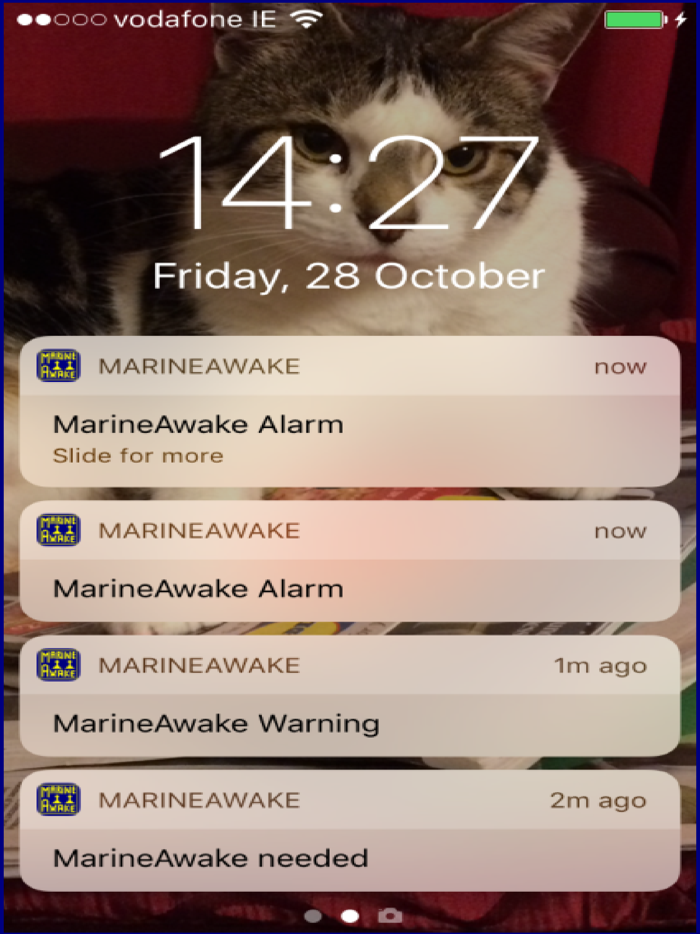 MarineAwake
