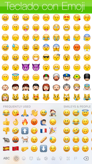 Captura de pantalla de la aplicación