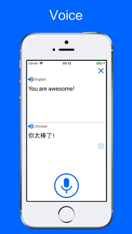 Translate Voice & Dictionary