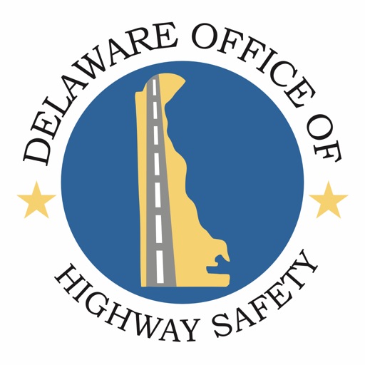Delaware Seat Belt Survey icon