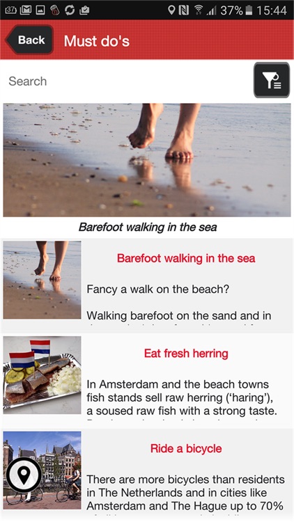 Amsterdam Beach