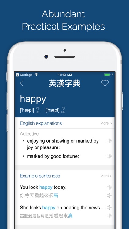 Dictionary & Translator screenshot-3