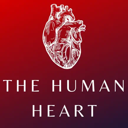 Heart Anatomy and Physiology Cheats