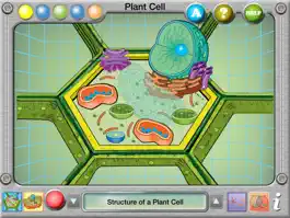 Game screenshot Plant and Animal Cells apk