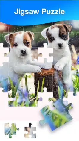 Game screenshot Jigsaw Puzzles Now mod apk