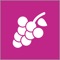 The official mobile application of the Budapest Wine District