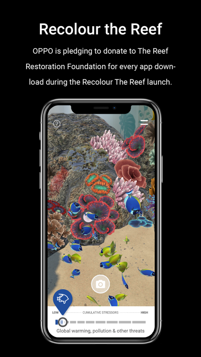 Recolour The Reef Screenshot