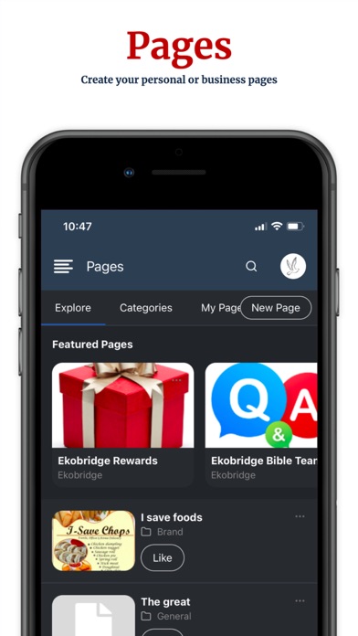 Ekobridge Screenshot