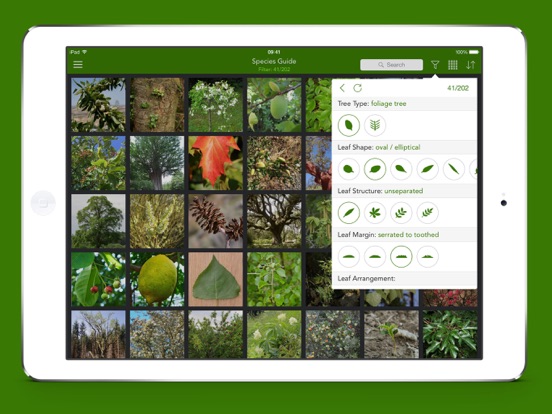 Bomen 2 PRO iPad app afbeelding 2