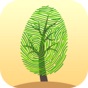 Tree Identification with AI app download