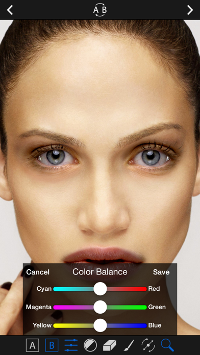 Face Blender. Screenshot