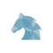 Equine Medical Solutions provides a veterinary referral service for a range of equine problems