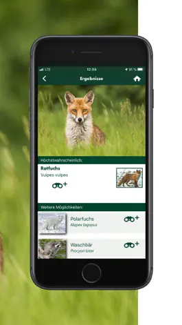Game screenshot Wildlife ID hack