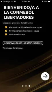 conmebol libertadores iphone screenshot 3