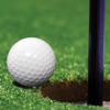 Minigolf Aces icon