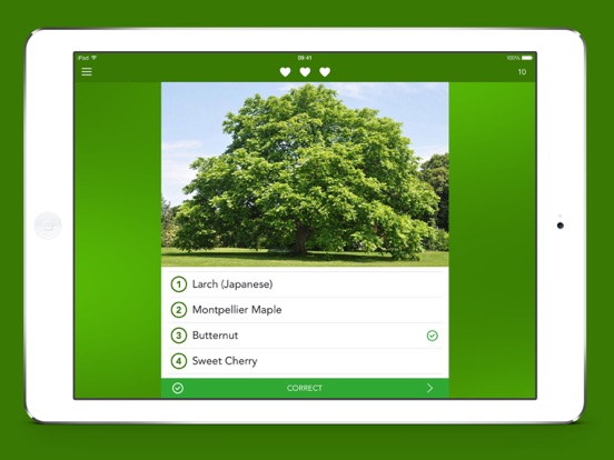 Bomen 2 PRO iPad app afbeelding 4