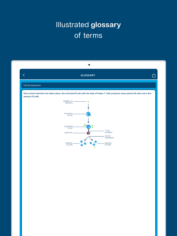 Screenshot #6 pour Biology - Biobrain