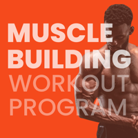 Muscle Building Workout Plan