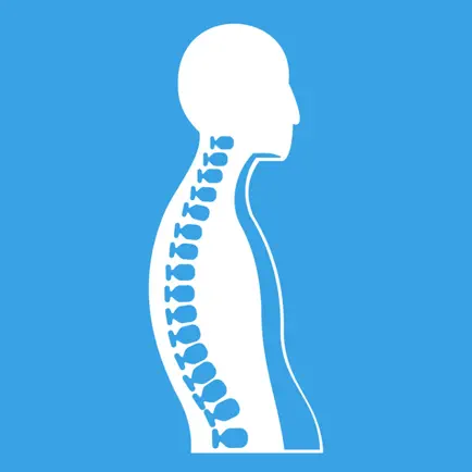 Habitus Posture Cheats