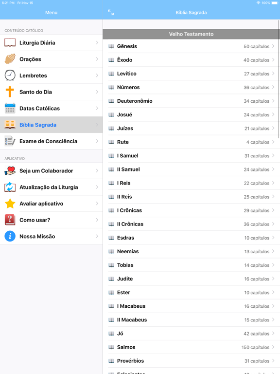 Companheiro Católico iPad screenshot 6 - Lifestyle app