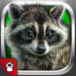 Animals words for kids! Rhymes App Contact