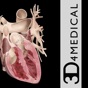 Heart Pro III - iPhone app download