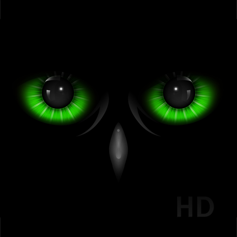 Night Eyes - Nachtzicht