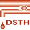 DSTH bridging