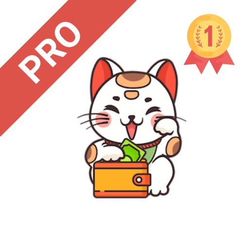 Money Note Pro - Auto sync