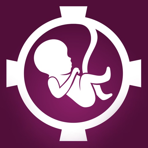 Army for Life Download