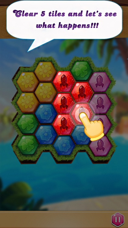 Star Block Hexagon screenshot-3