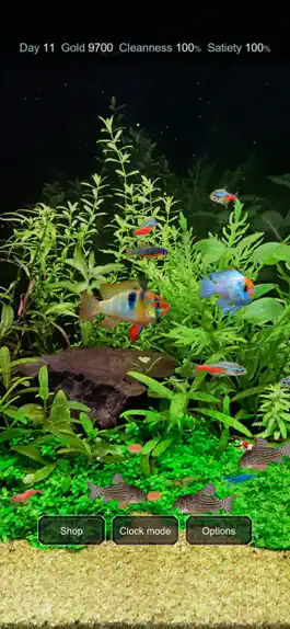 Game screenshot Tropical Fish Tank - Mini Aqua hack