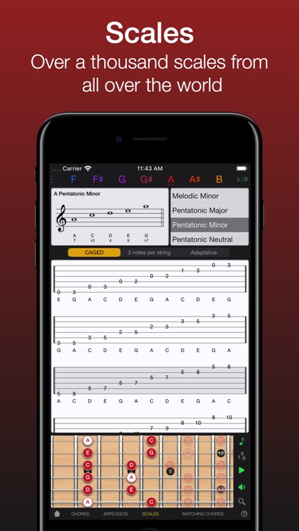 Guitar Gravitas: Chords Scales screenshot-3