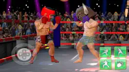 Game screenshot Mini Boxing: Champion King hack