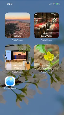 Game screenshot Photo Albums and Widget mod apk