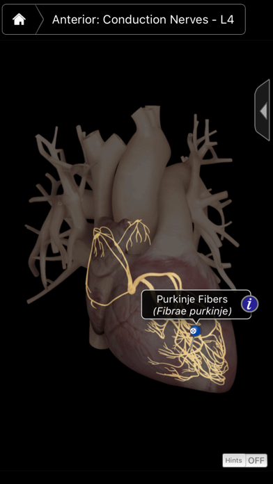 Heart Pro III - iPhone Screenshot