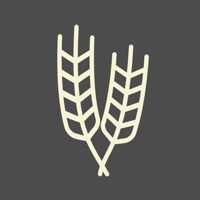 Кафе-бар «СолоД»  Брест