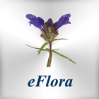 Top 10 Reference Apps Like eFlora - Best Alternatives