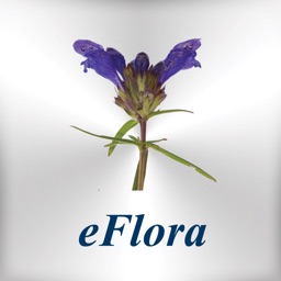 eFlora