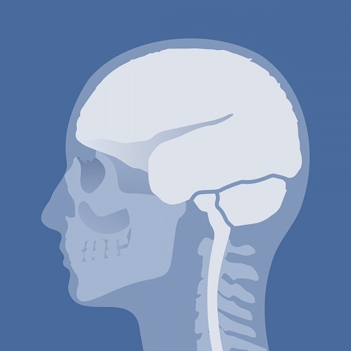 Head Atlas Icon