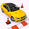 Real Driver 3D icon