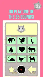 crazy cat translator & sounds problems & solutions and troubleshooting guide - 2