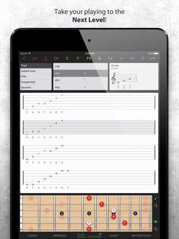 Guitar Gravitas: Chords Scales screenshot 4