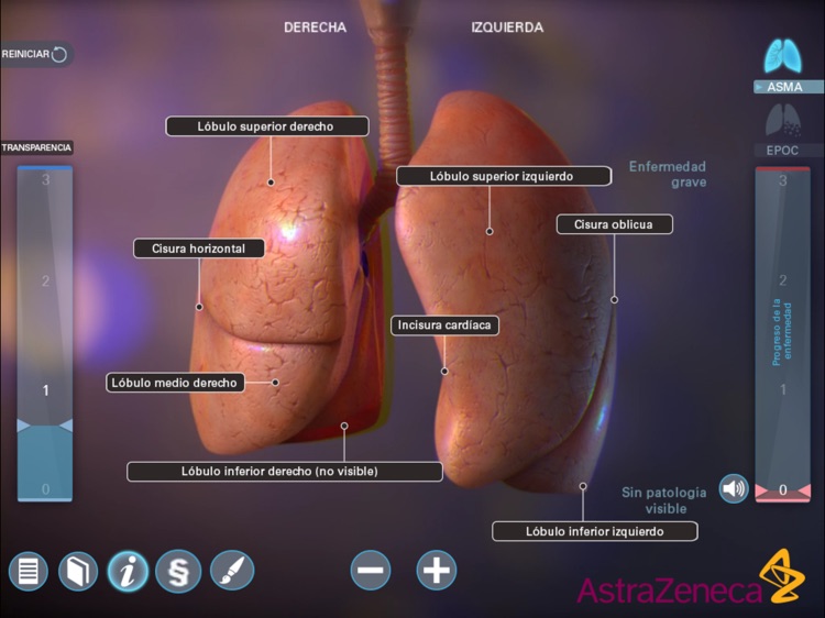 Saber Más del Pulmón screenshot-5