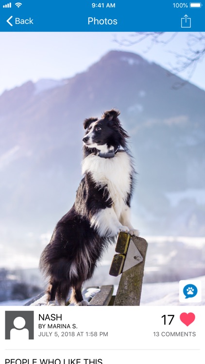 Tractive Pet Photos Gallery
